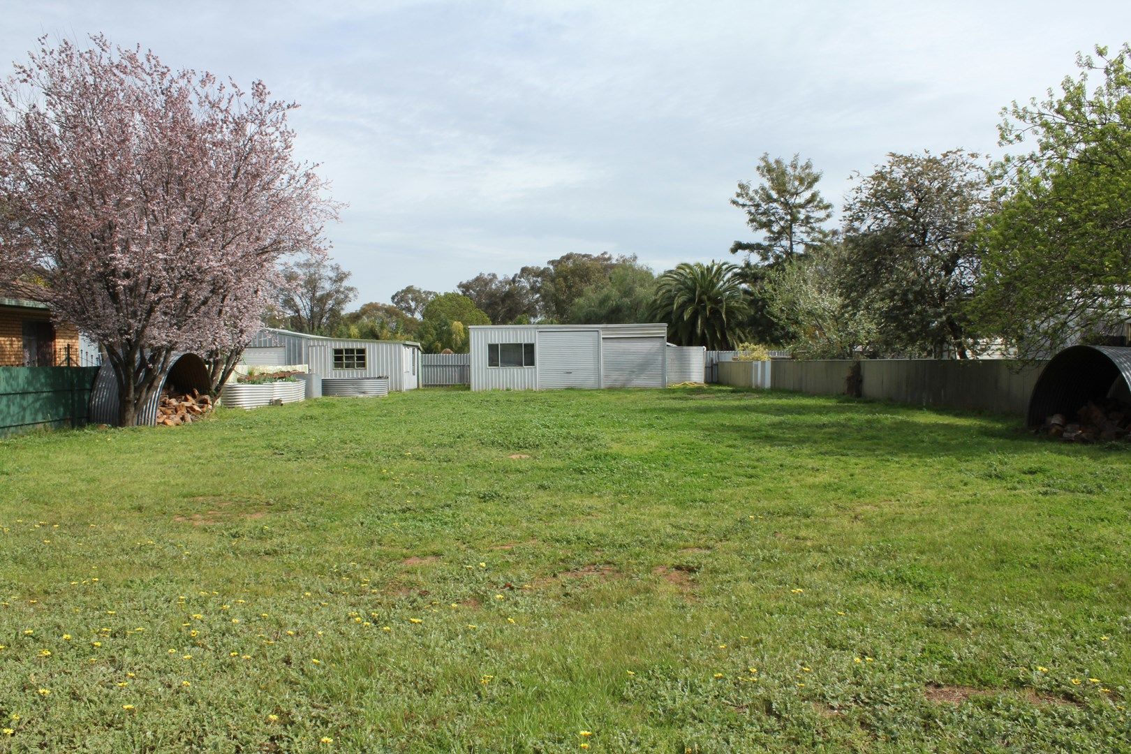 204 Main Street, Brocklesby NSW 2642, Image 1