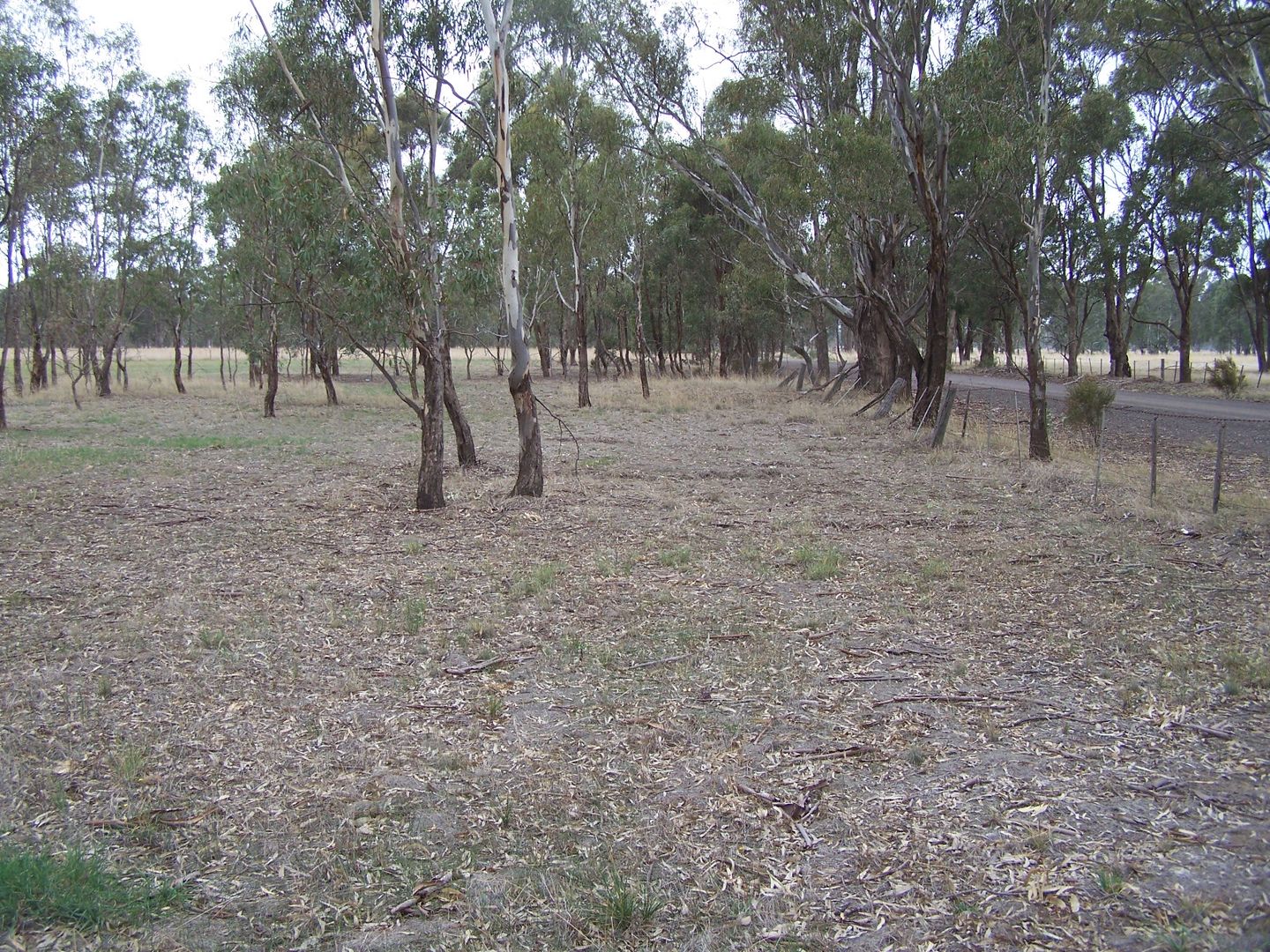 Nagambie VIC 3608, Image 1