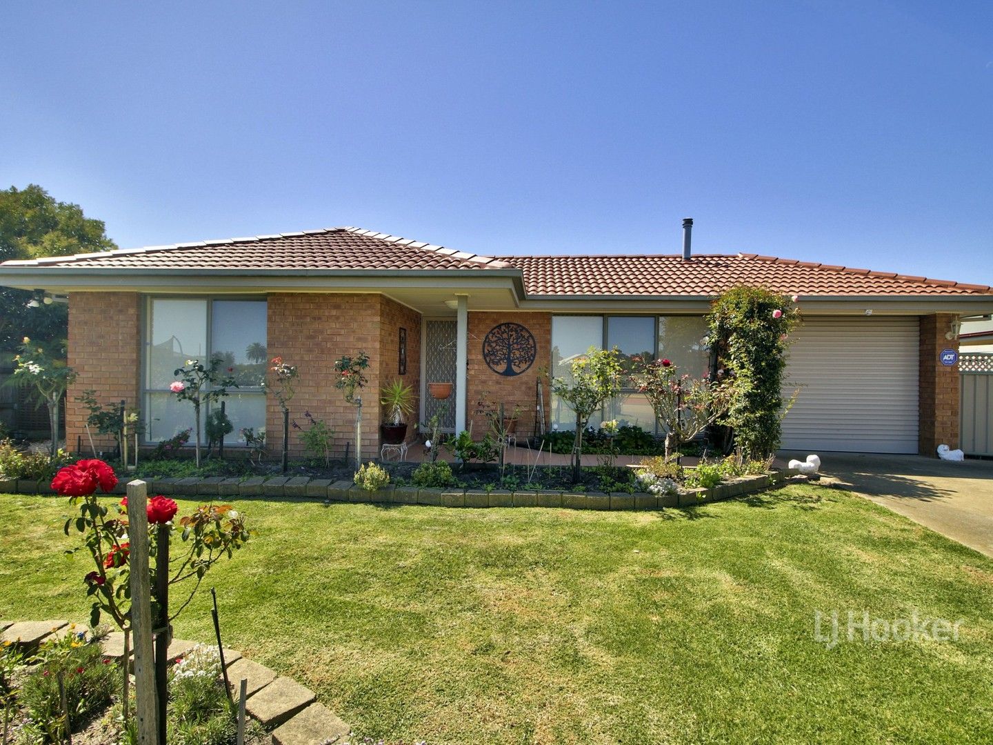 9 Callistemon, Lucknow VIC 3875, Image 0