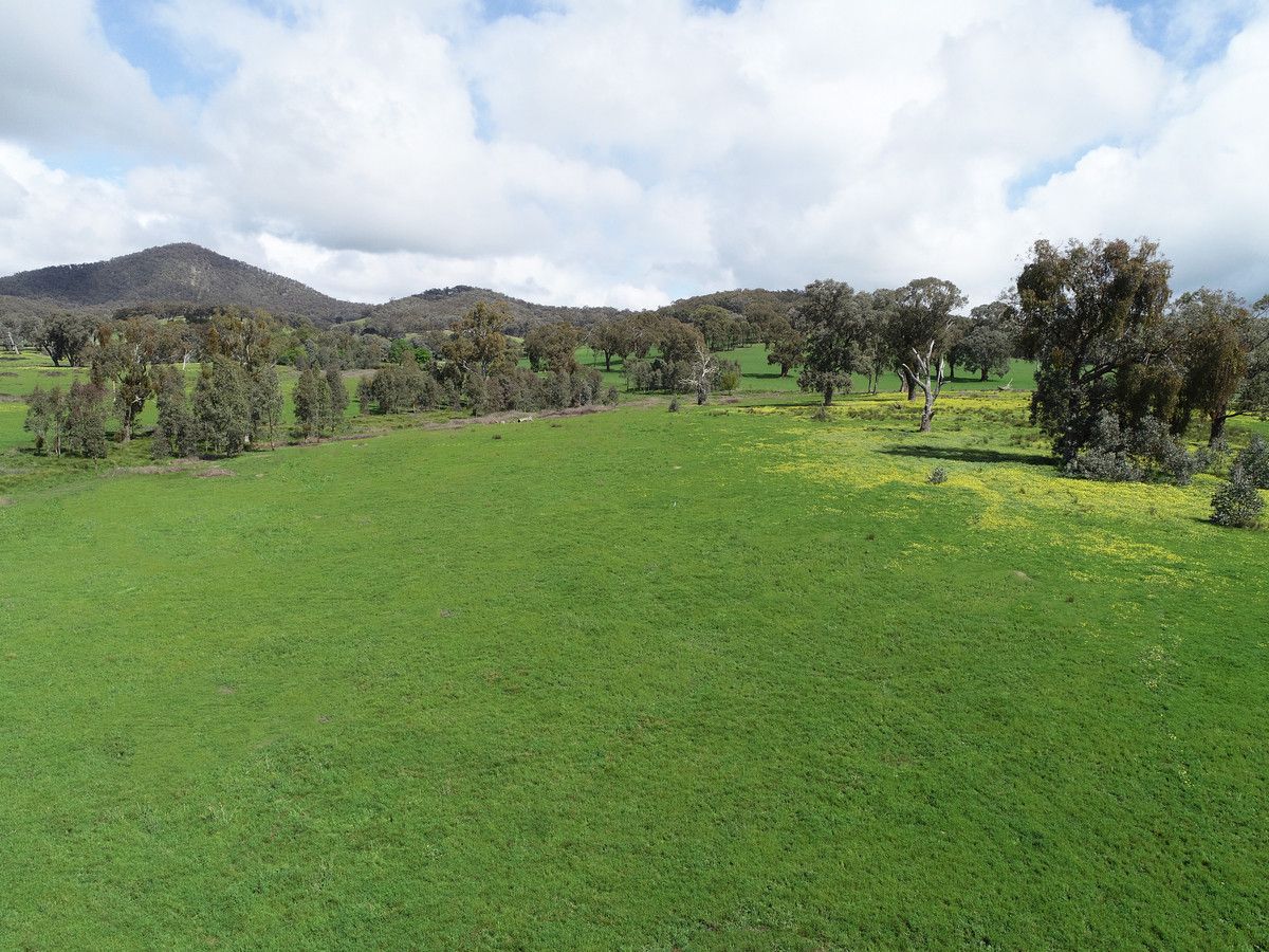 289 Benalla-Whitfield Road, Greta South VIC 3675, Image 1