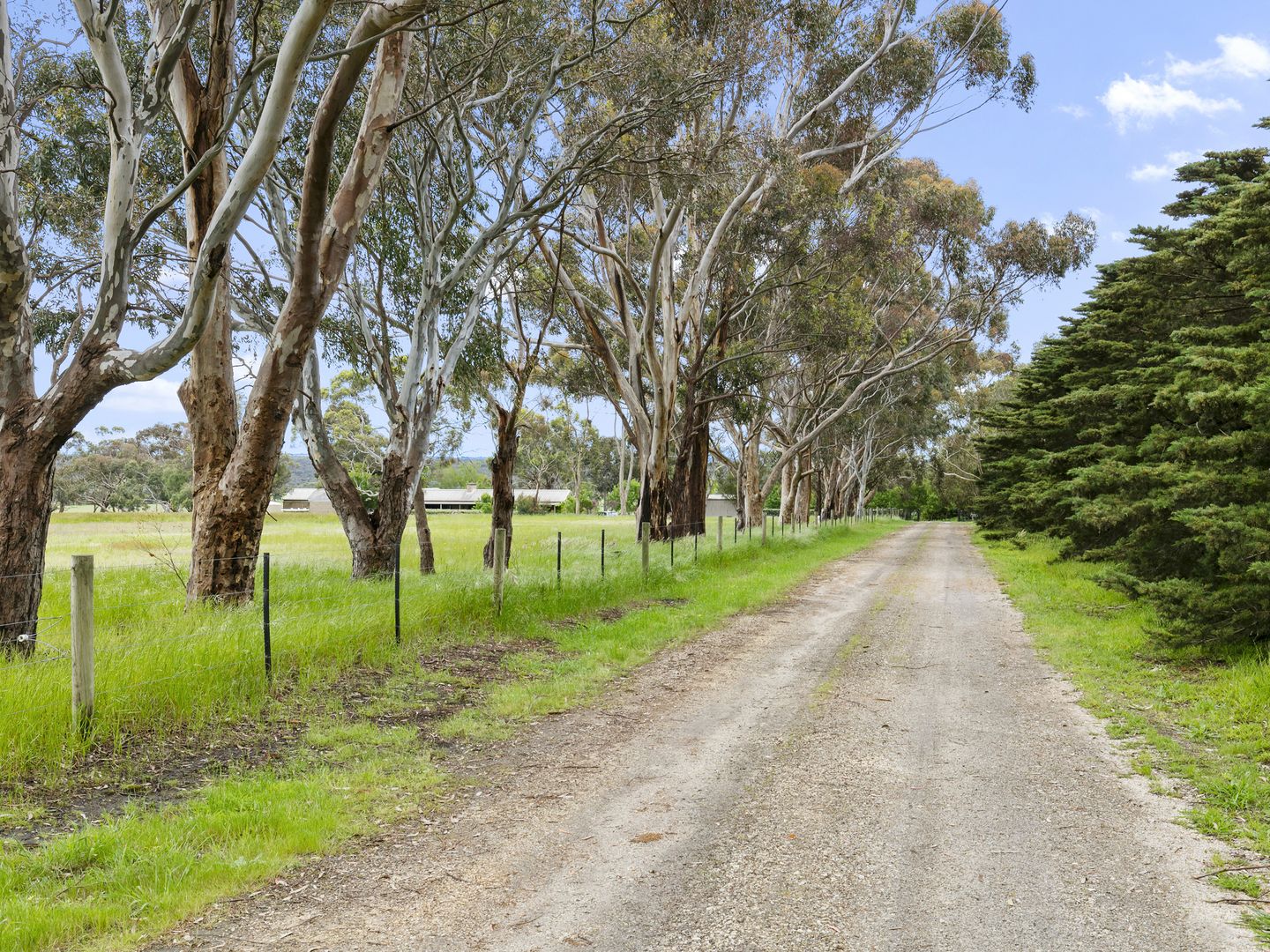 2155 Hendy Main Road, Freshwater Creek VIC 3217 Farmlet for Sale