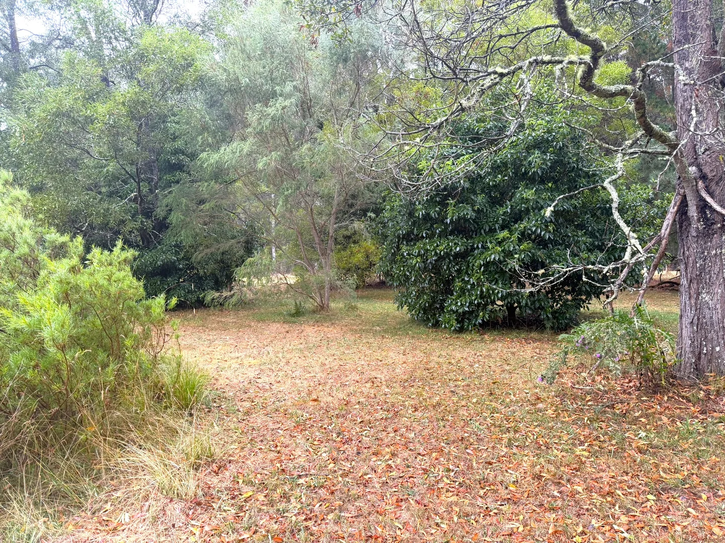 Additional image 13 of 4905 Princes Highway, Greenwald VIC 3304