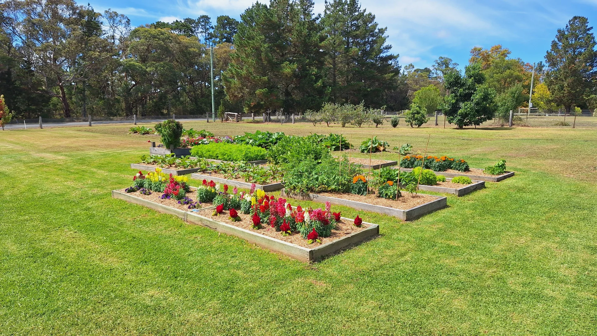 Additional image 20 of 9 Schumann Lane, Thulimbah QLD 4376