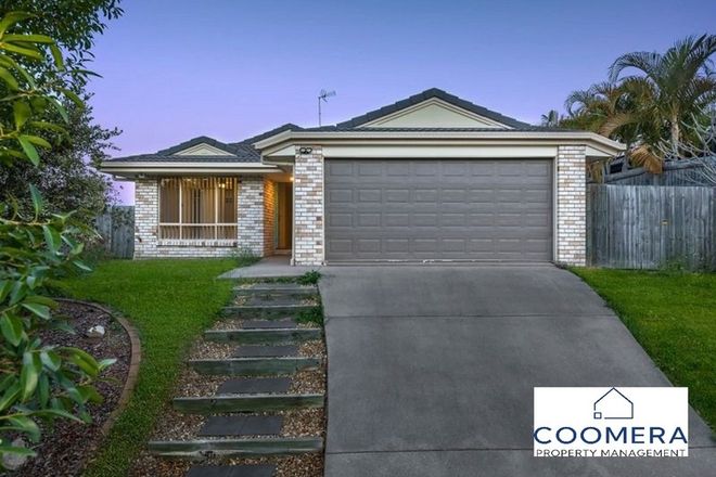 Picture of 8 Currawong Crescent, UPPER COOMERA QLD 4209