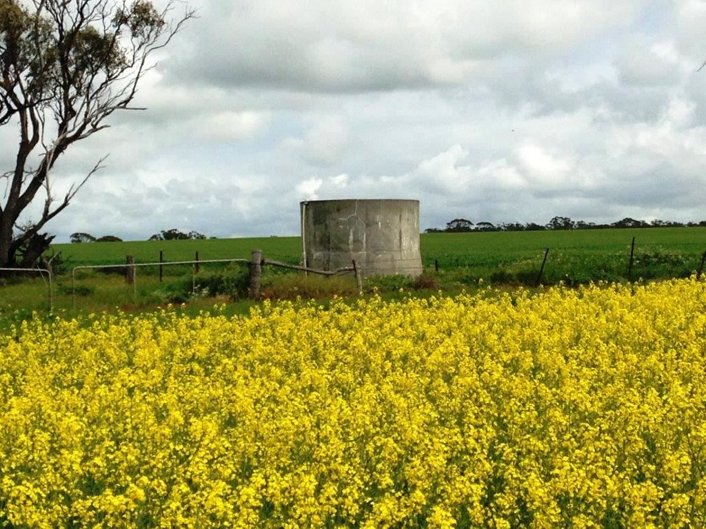 Cunderdin WA 6407, Image 2