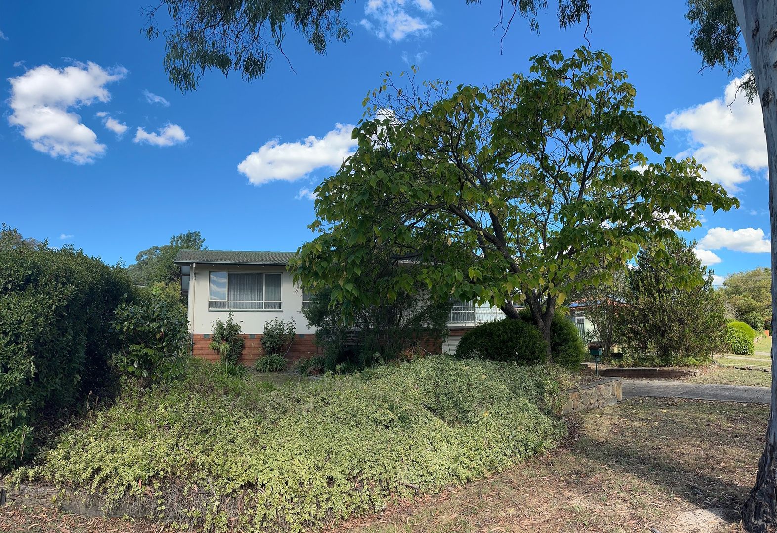 7 Malara Street, Waramanga ACT 2611, Image 1