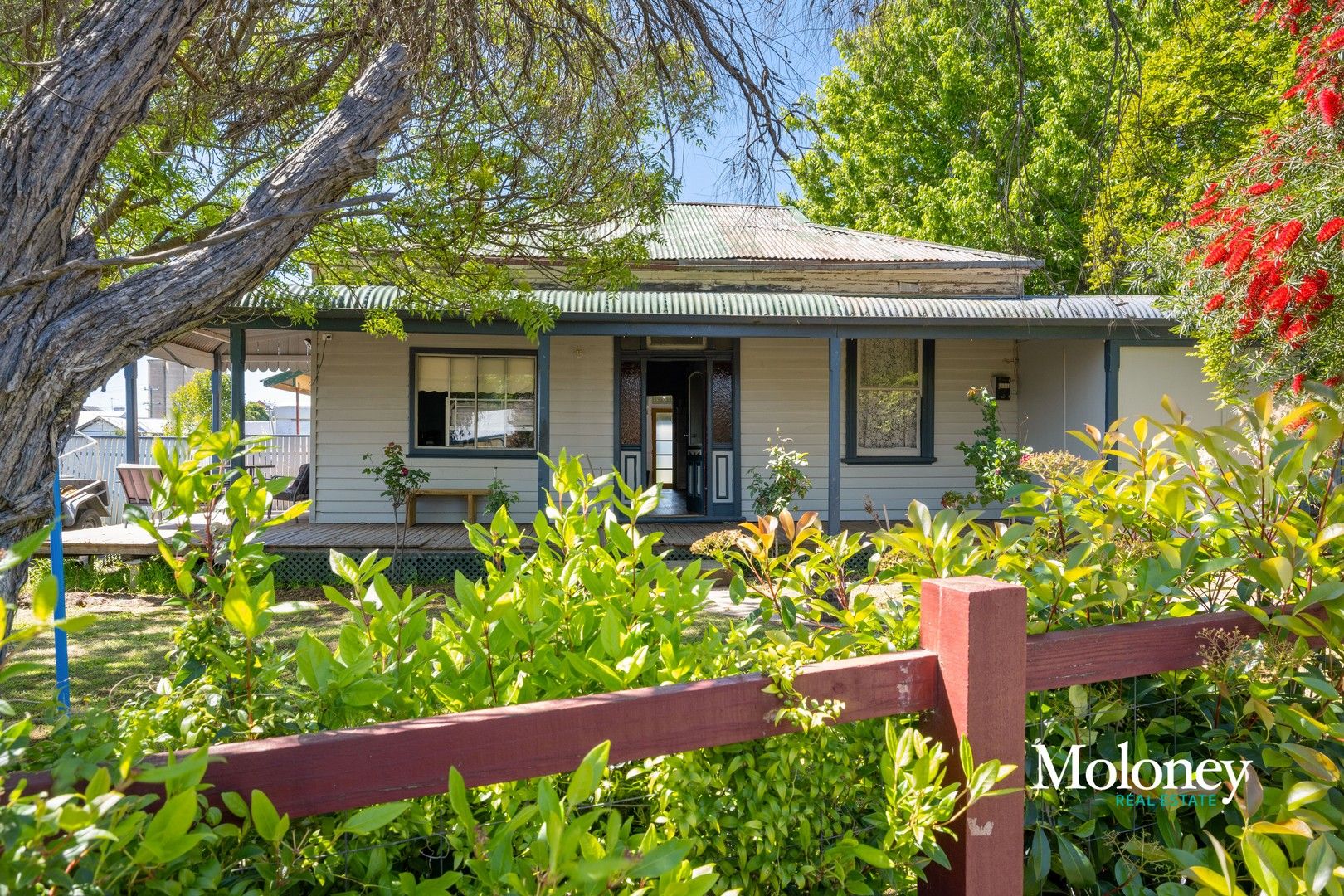 44 Whitehead Street, Corowa NSW 2646, Image 0