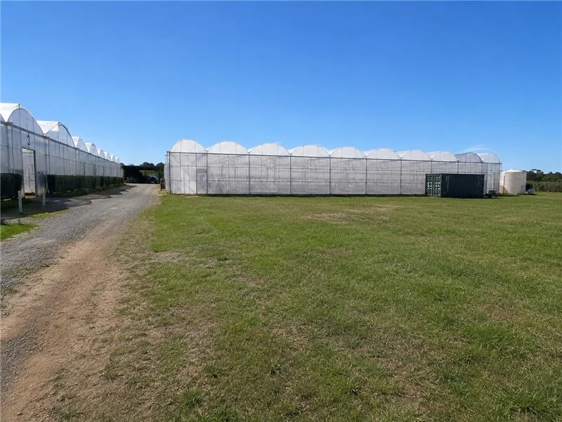 Image 15