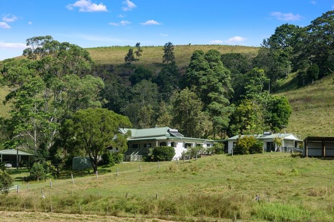 Picture of 445 Cosy Camp Road, CORNDALE NSW 2480