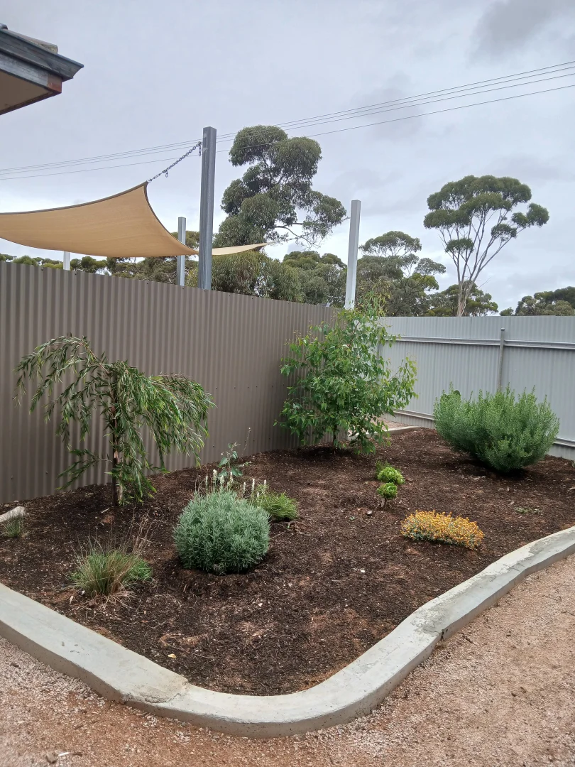 Image 12