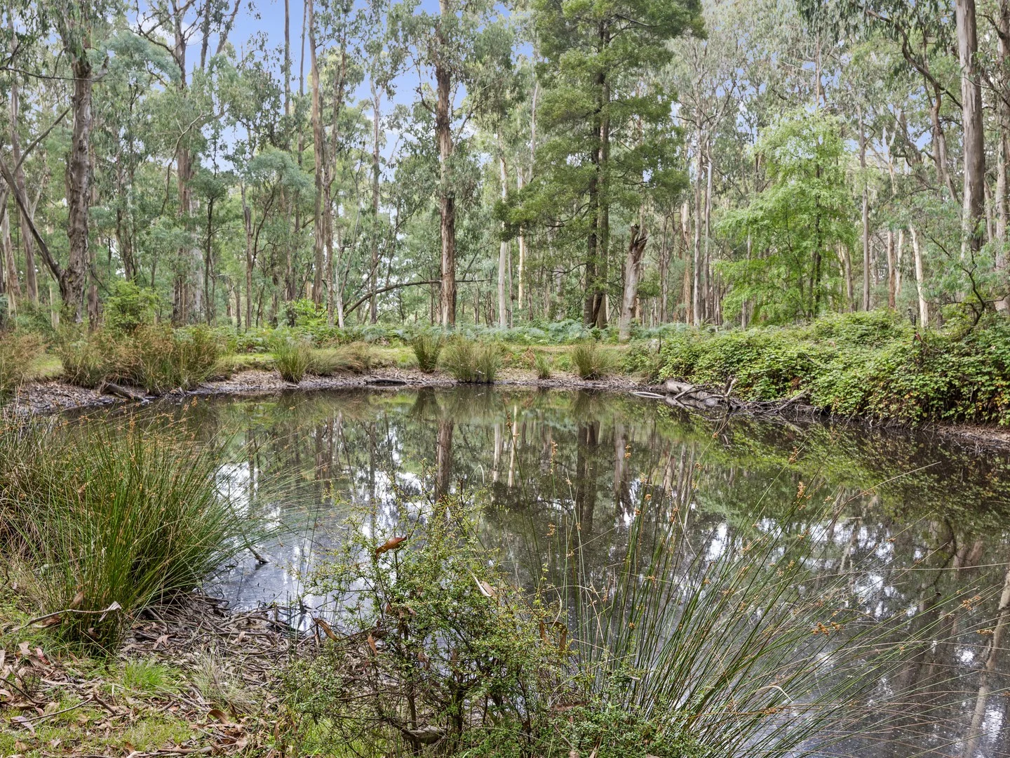 62 Shane Lane, Tolmie VIC 3723