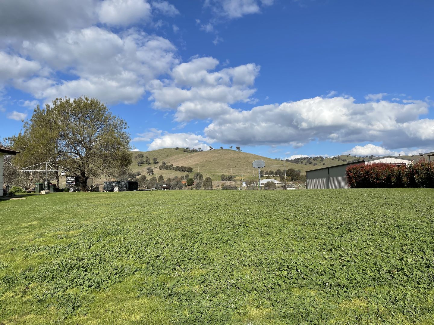 22 Camphor Lane, Gundagai NSW 2722, Image 2