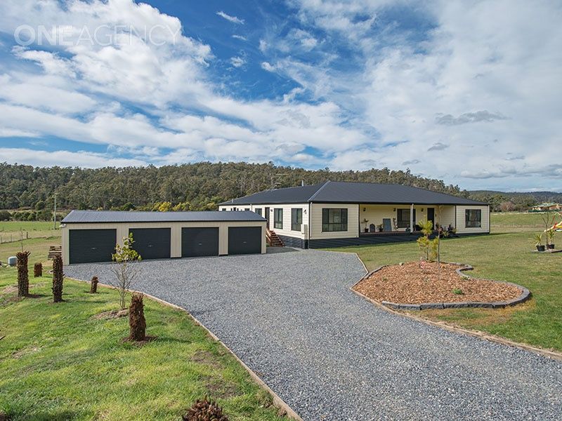 185 Lewis Road, Pipers River TAS 7252