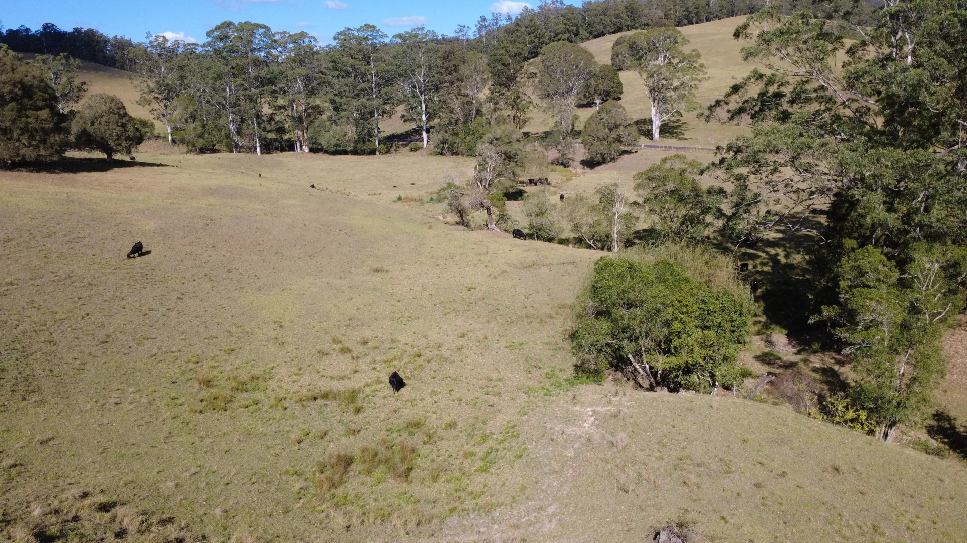 Additional image 4 of 112 Weismantles Lane, Gloucester NSW 2422