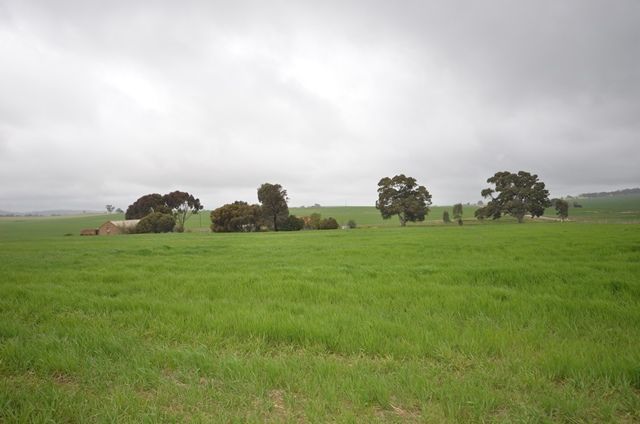 "Webbs" Main Forty Five Rd, Waterloo SA 5413, Image 0