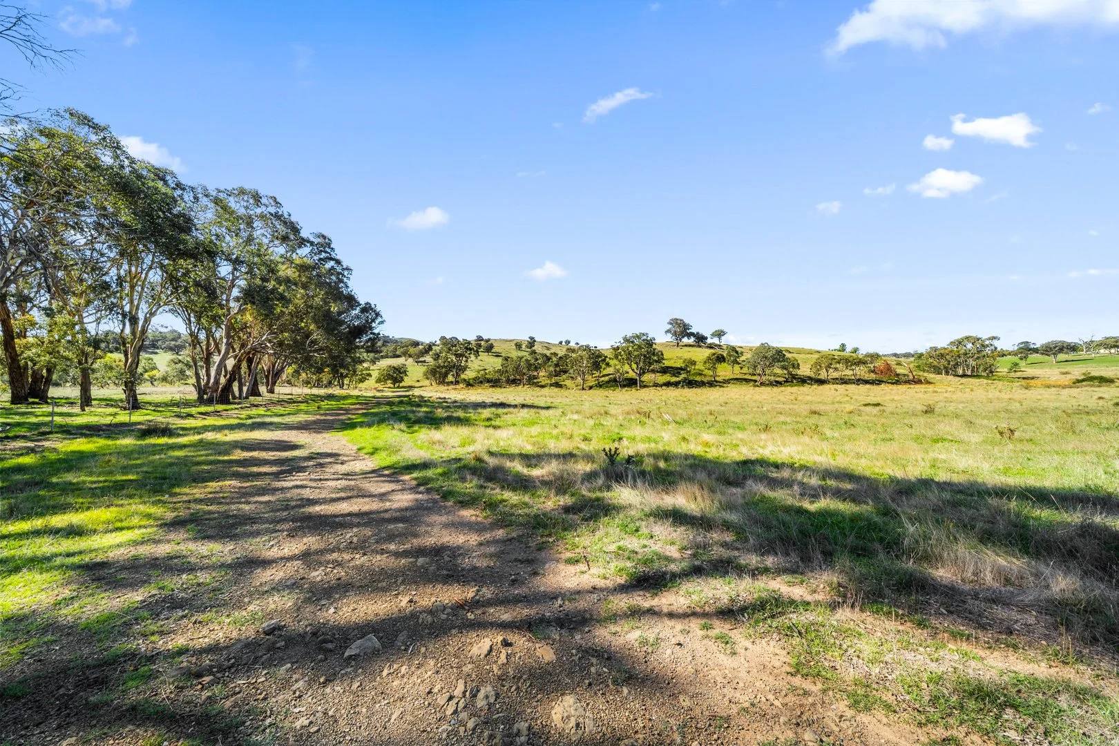 Additional image 22 of 267 Spring Range Road, Springrange NSW 2618