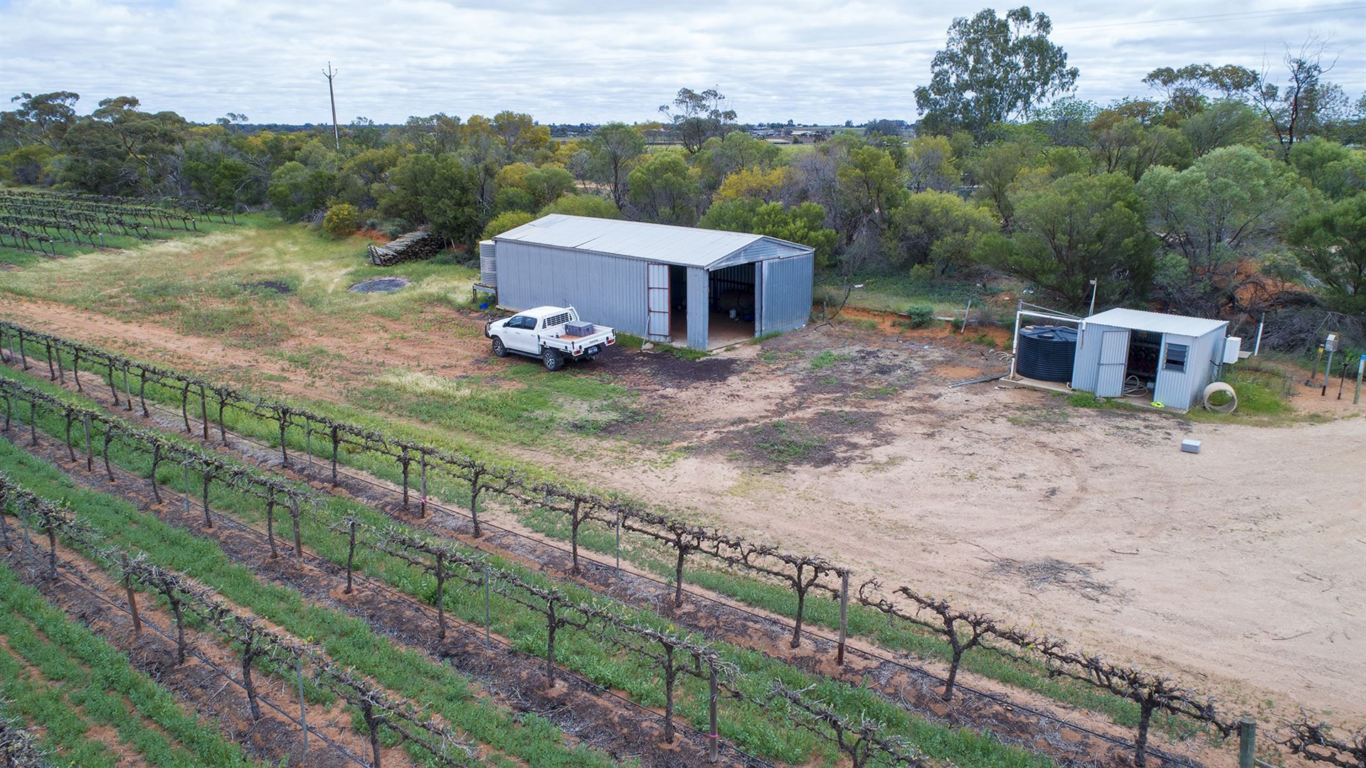 314 Costello Road, Loveday SA 5345, Image 2