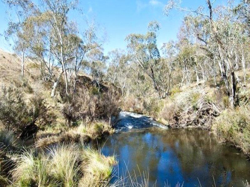 2393 Great Alpine Road, Cobungra VIC 3898, Image 1