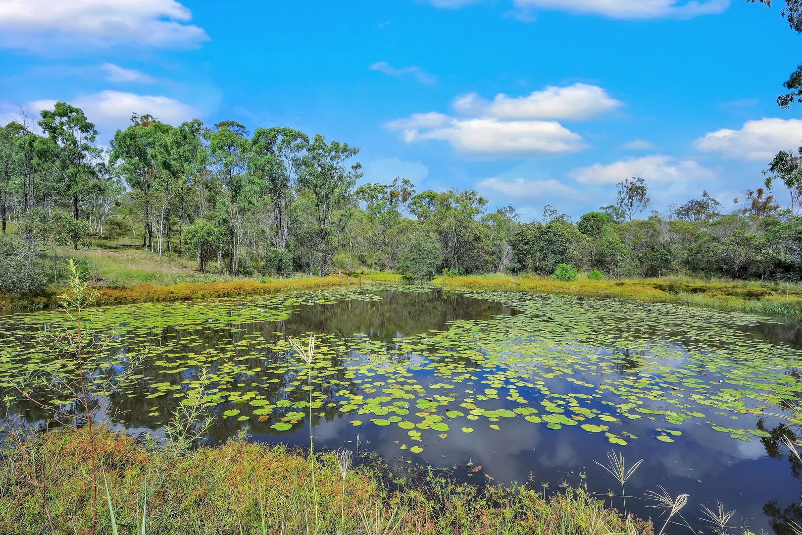 Additional image 14 of 24 Gerard Drive, Horse Camp QLD 4671