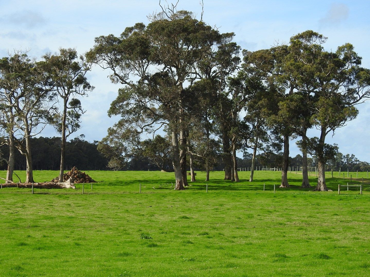 Lot 3 Bussell Highway, Cowaramup WA 6284, Image 0