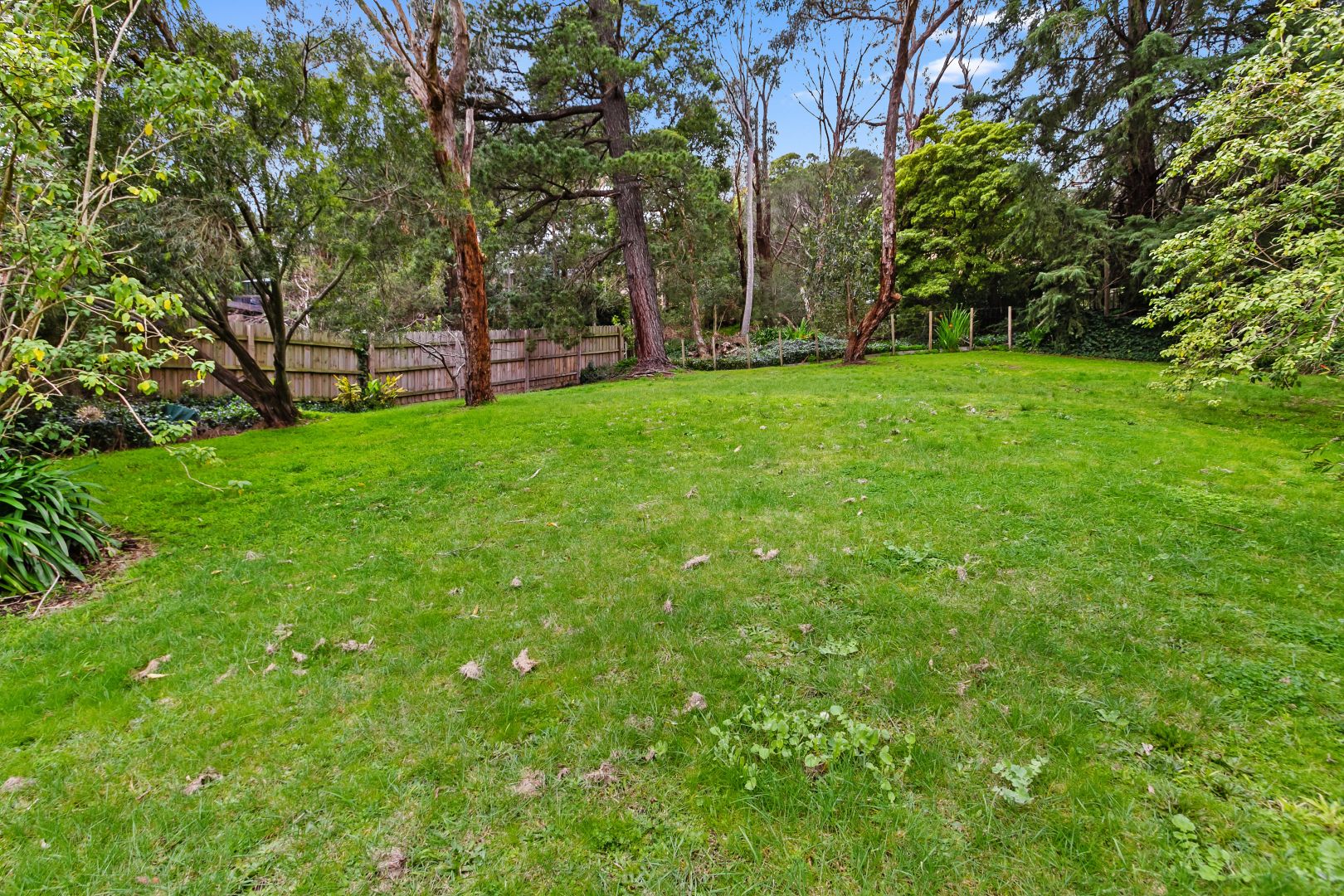 216 Forest Road, Boronia VIC 3155, Image 2