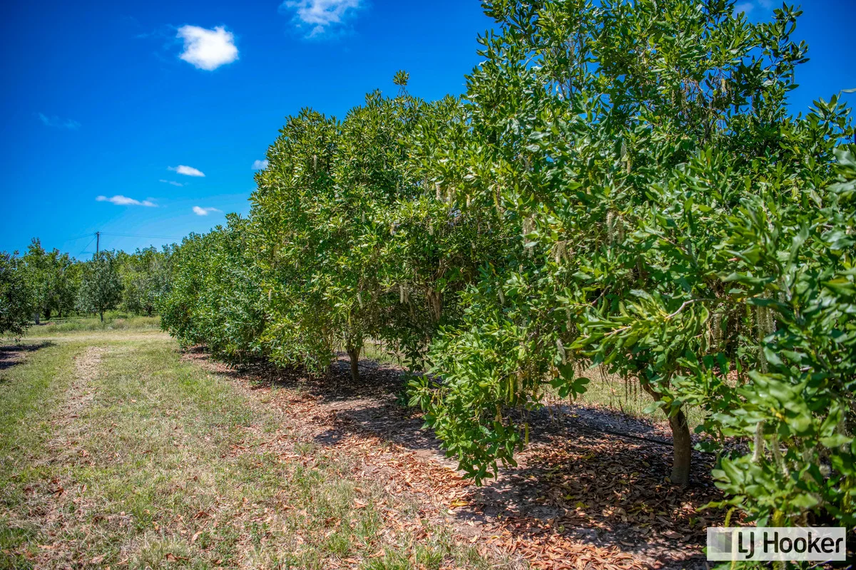 Additional image 23 of Meadowvale QLD 4670