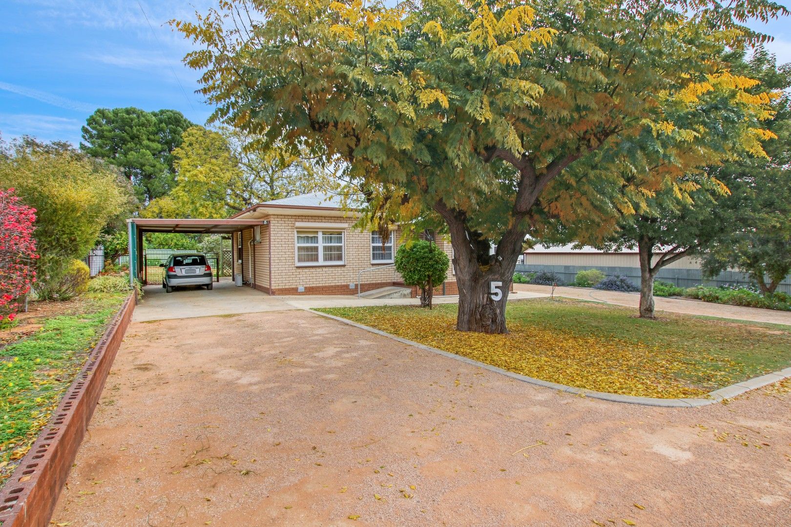 5 Blight Street, Waikerie SA 5330, Image 0