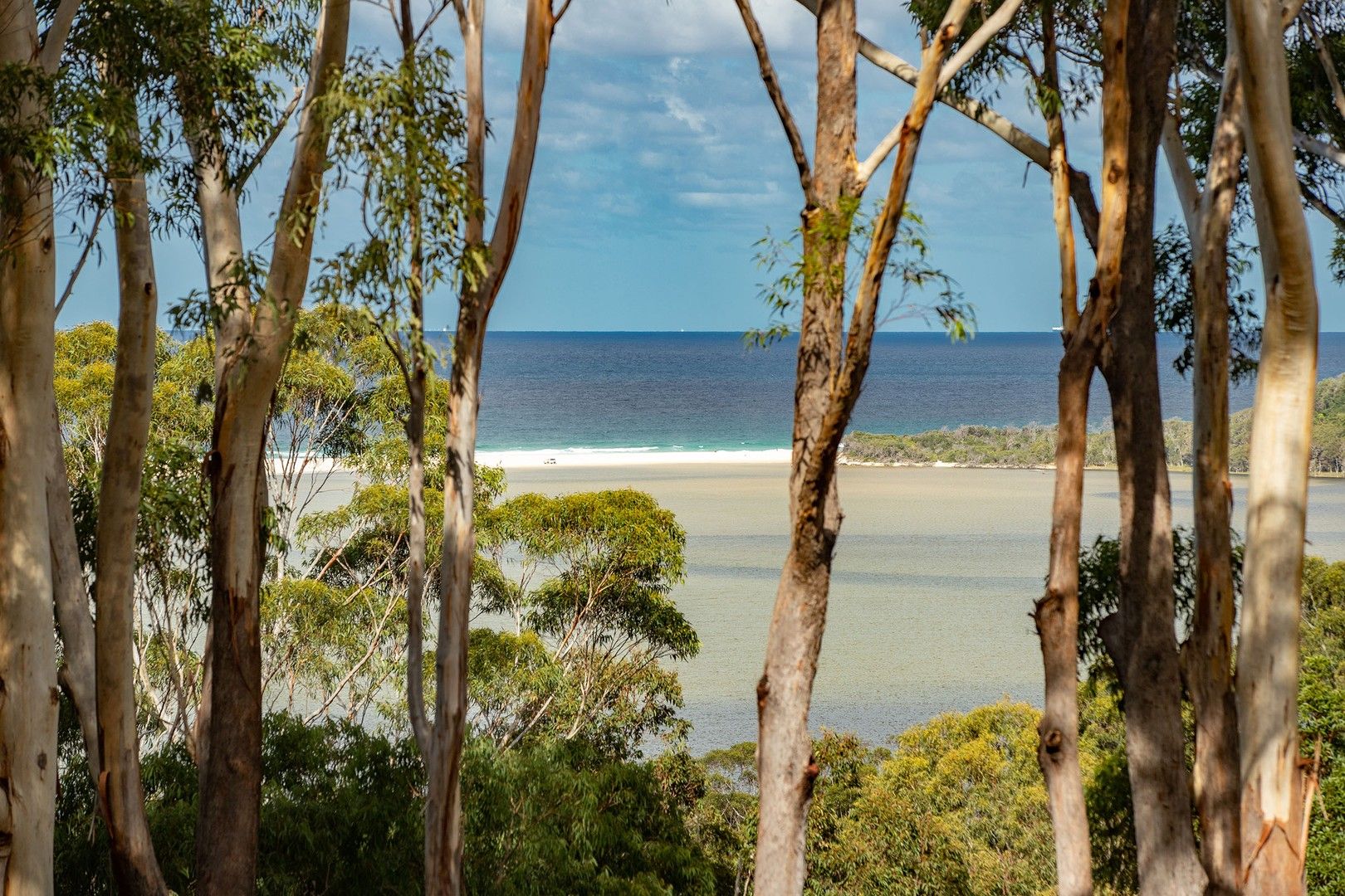 59/12 Scarfe Street, Smiths Lake NSW 2428 Domain