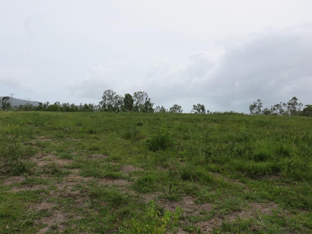 LOT 554 MIDGE POINT ROAD, Bloomsbury QLD 4799, Image 1