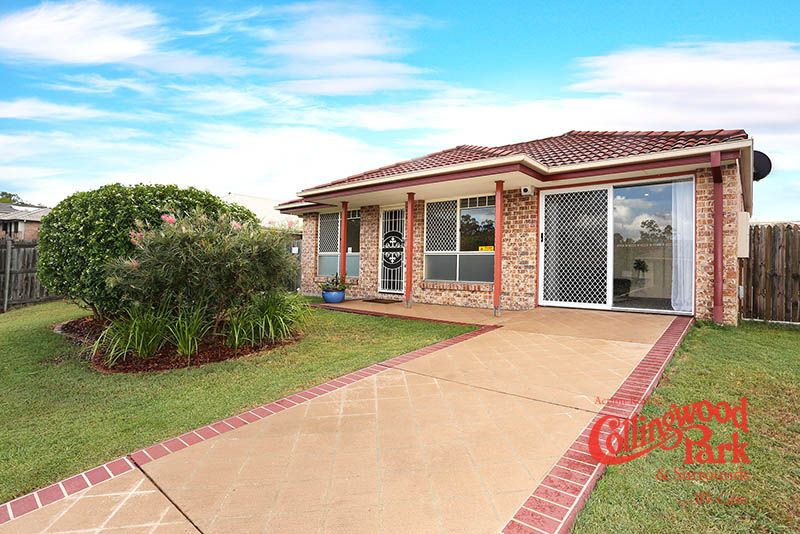 12 Collins Street, Collingwood Park QLD 4301, Image 1