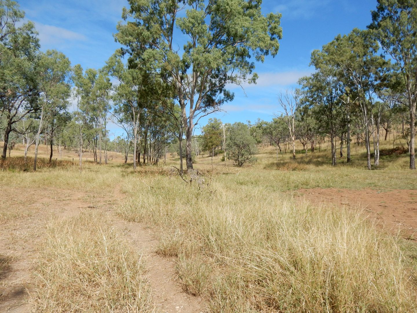 Schabes Road, Thangool QLD 4716, Image 2