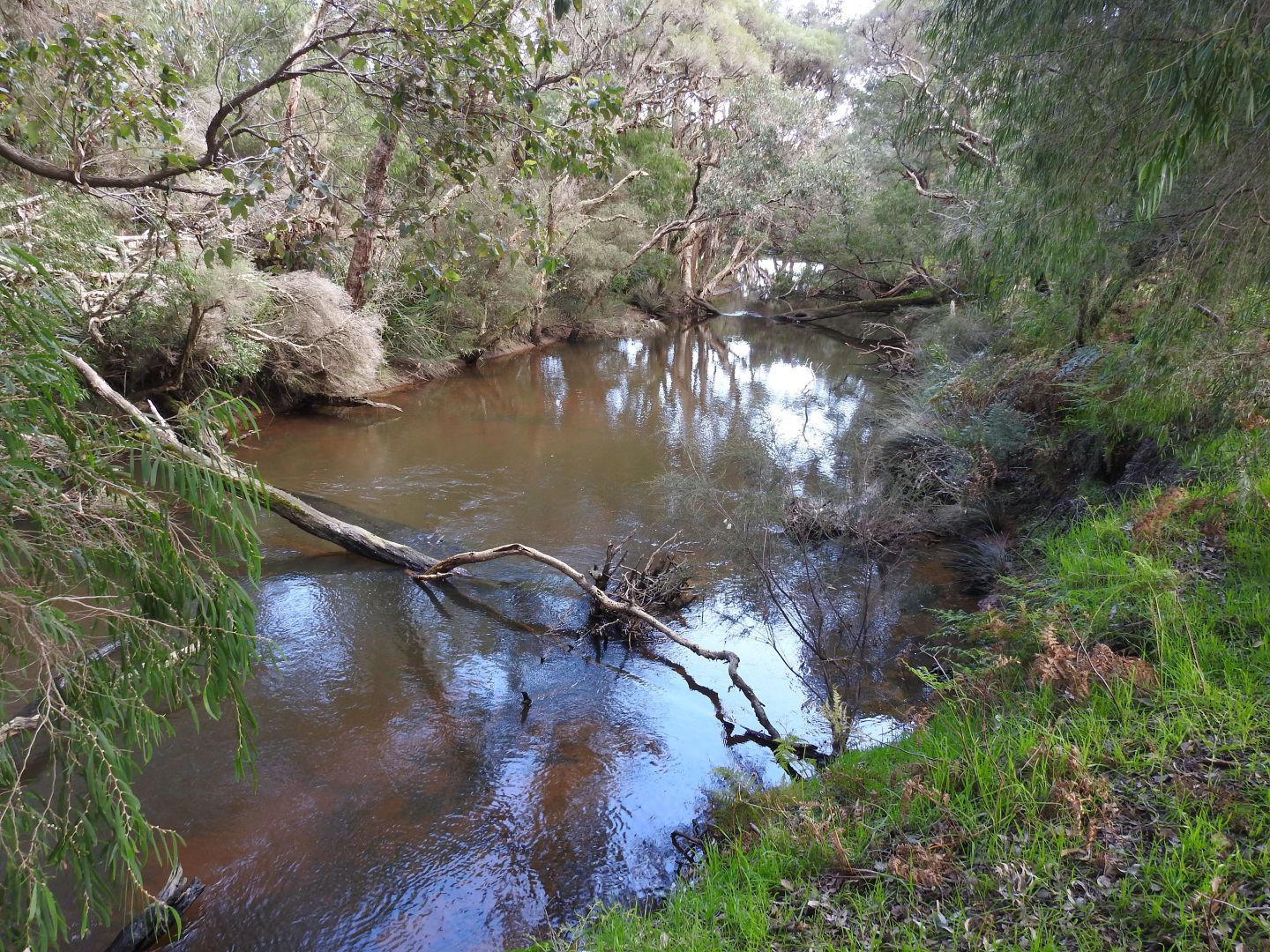 Lot 86 Vasse-Yallingup Siding Road, Marybrook WA 6280, Image 2