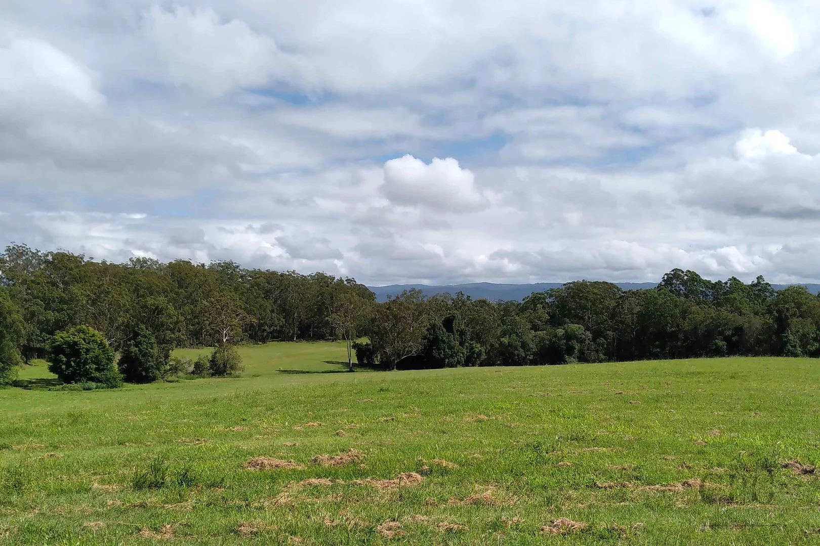 Image 13
