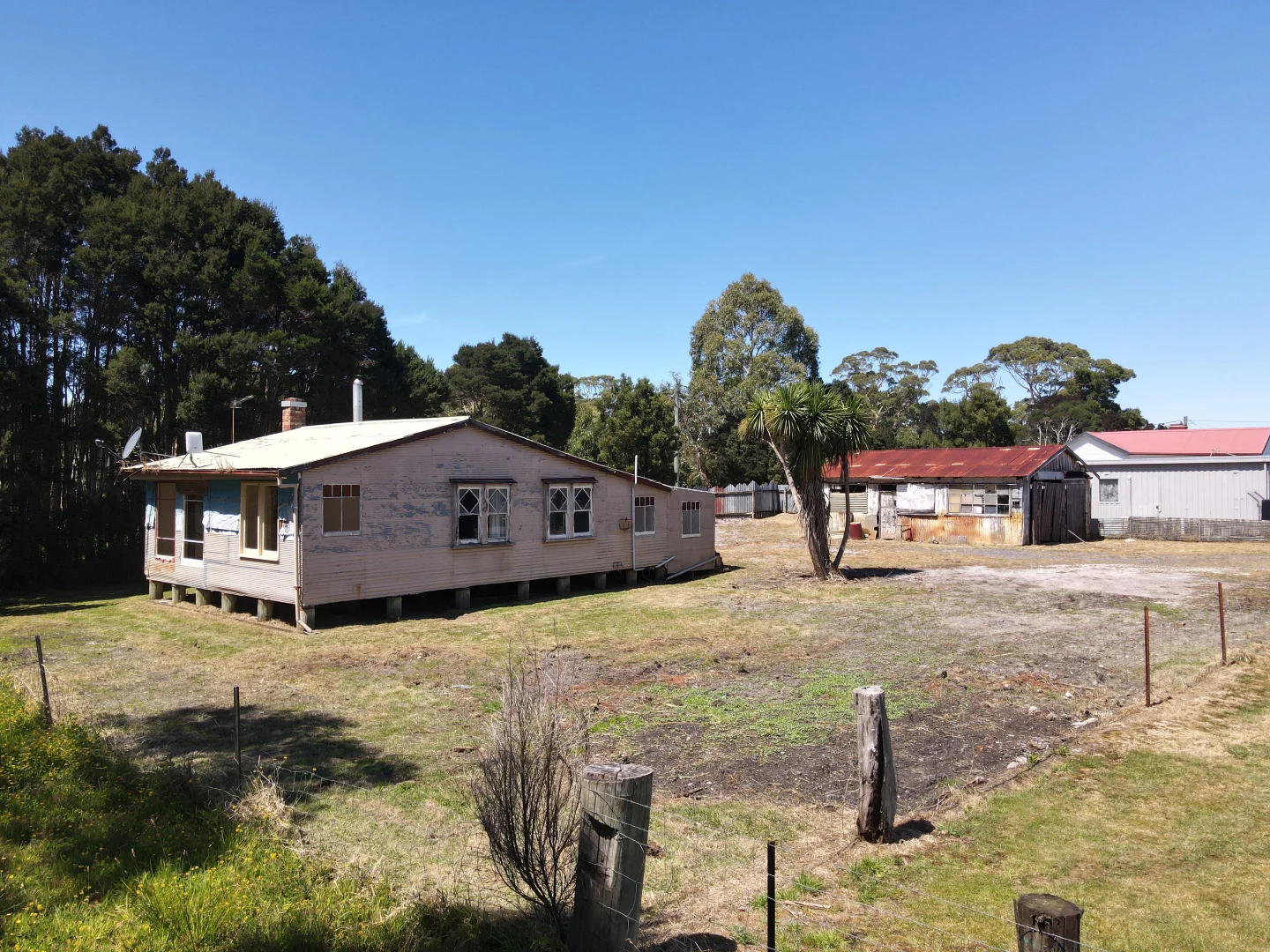 Image 11