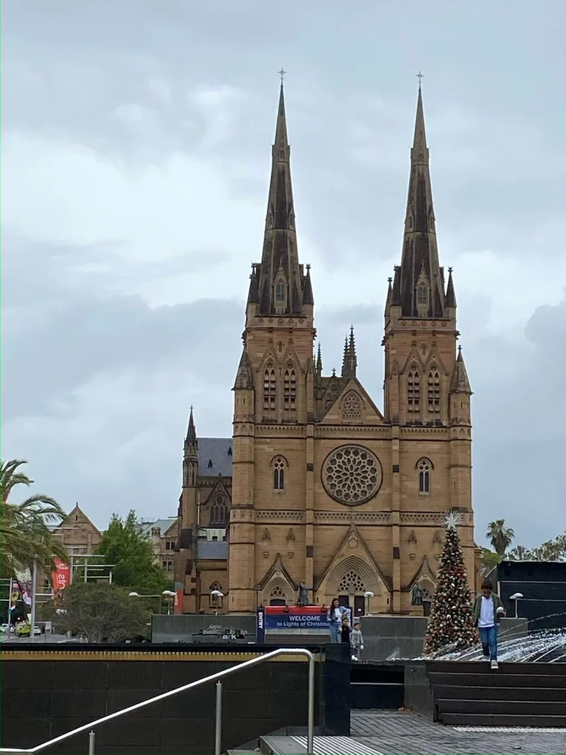 Image 7
