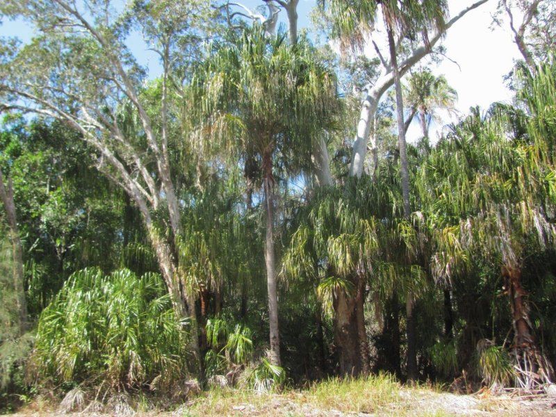 Lot 69 Fingerfield Road, Rules Beach QLD 4674, Image 1