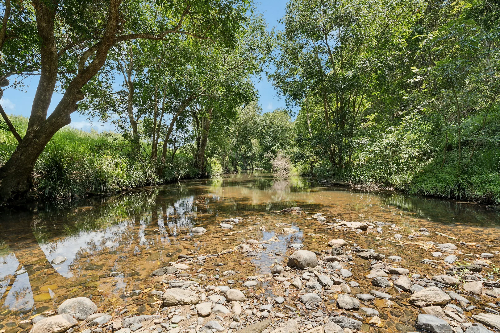 Image 14