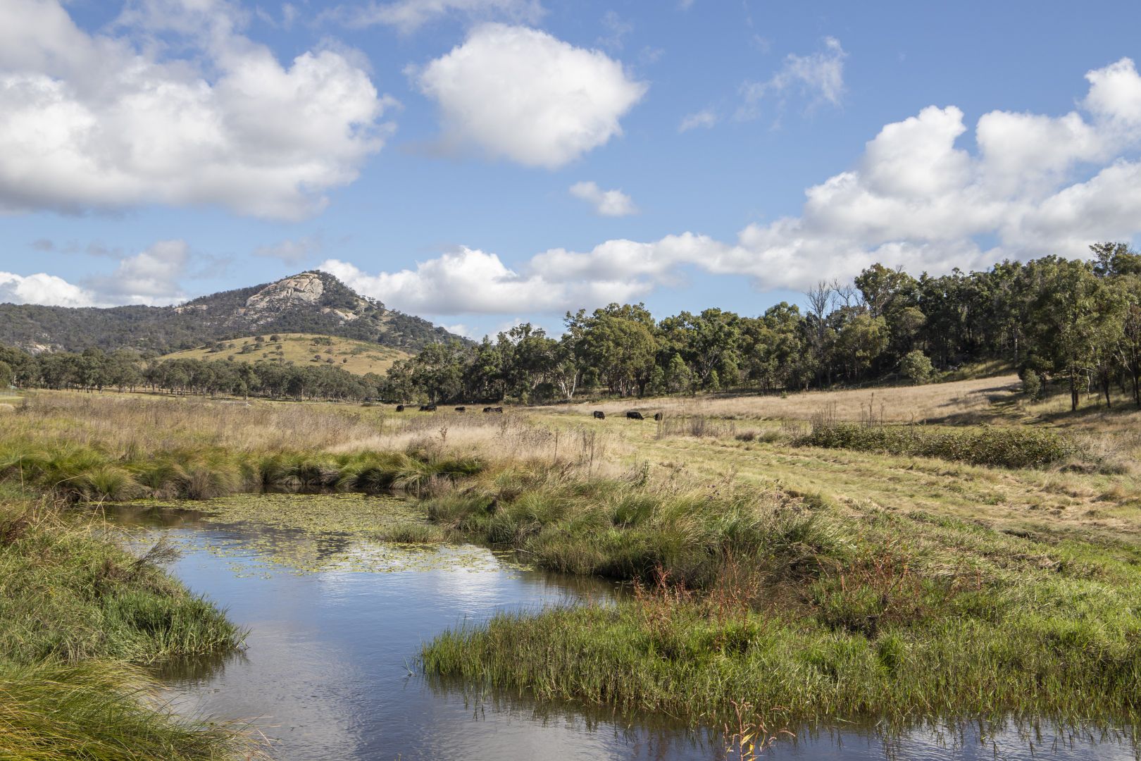 12 Four Mile Creek Road, Tenterfield NSW 2372, Image 1