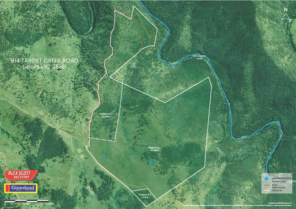 Additional image 6 of Lot 4 - 914 Target Creek Road, Licola VIC 3858