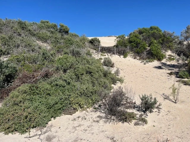 Additional image 13 of Lot 338 South Terrace, Fowlers Bay SA 5690