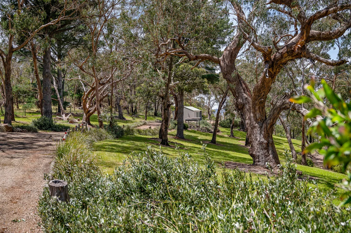 Additional image 8 of 110 Forest Drive, Mount Martha VIC 3934