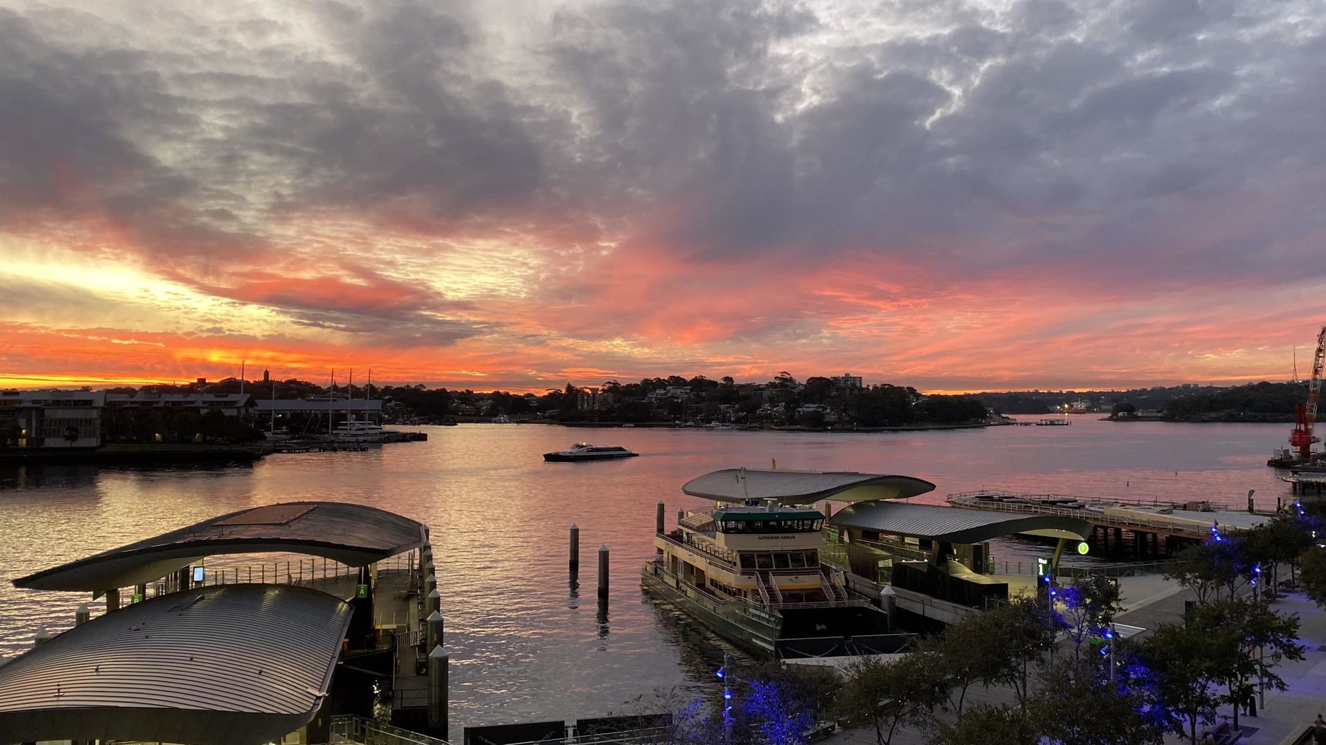 1 bedrooms Apartment / Unit / Flat in 303/29 Barangaroo Avenue BARANGAROO NSW, 2000