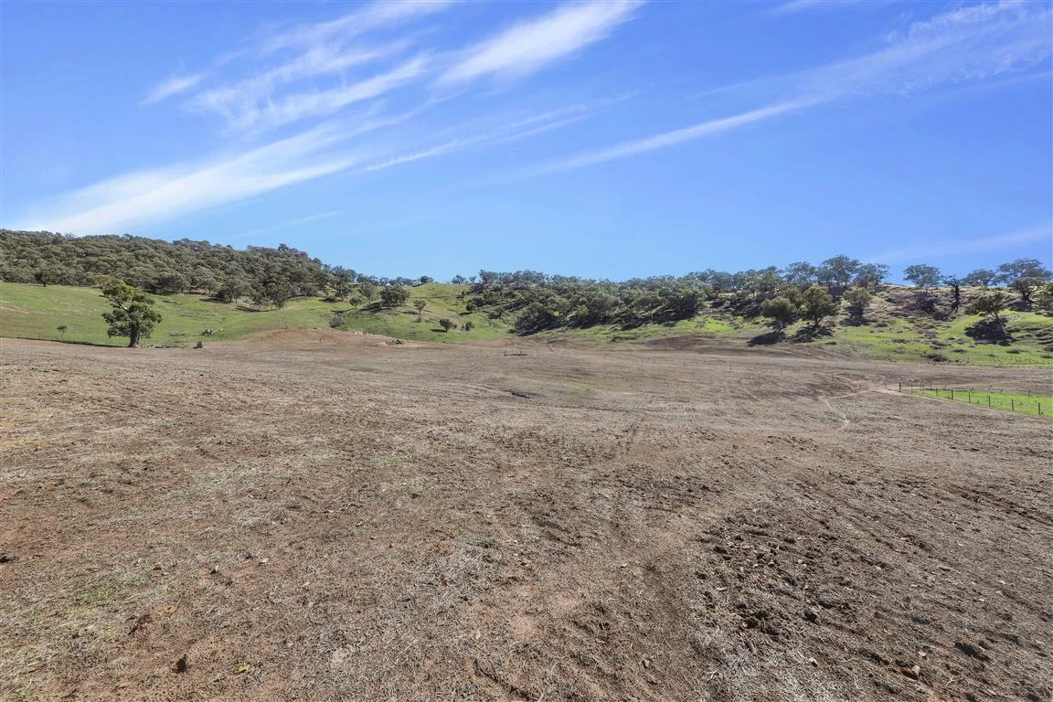 Additional image 4 of Part 1169 Grahamstown Road, Adelong NSW 2729