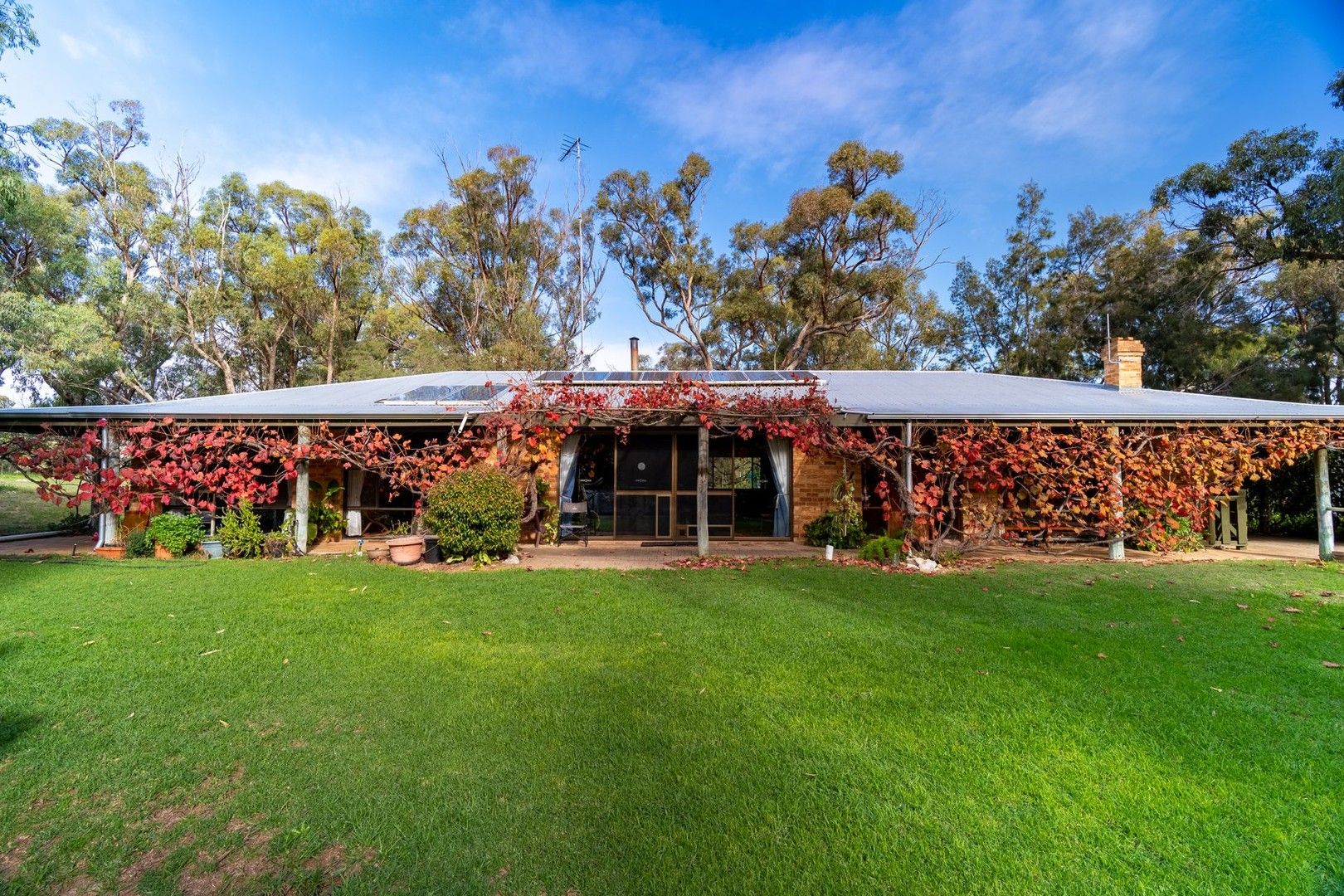 9 Georgjemma Place, Carabooda WA 6033, Image 0