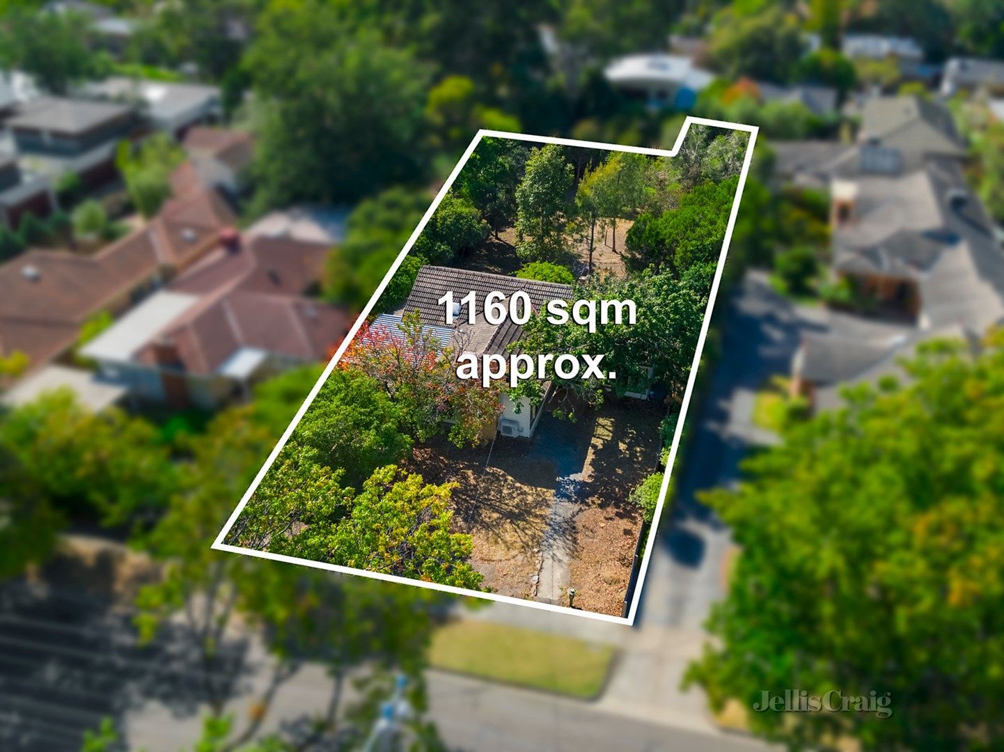 50 Belgravia Avenue, Mont Albert North VIC 3129, Image 0