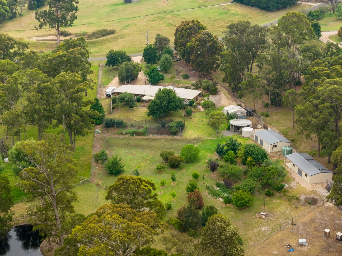Image 31