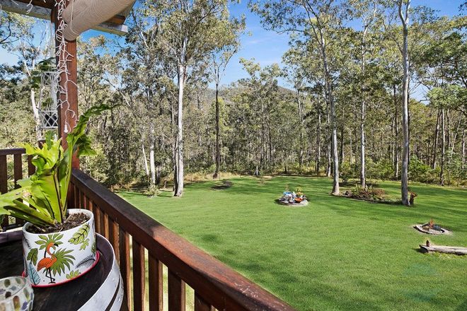 Picture of 147 Appaloosa Drive, CONONDALE QLD 4552