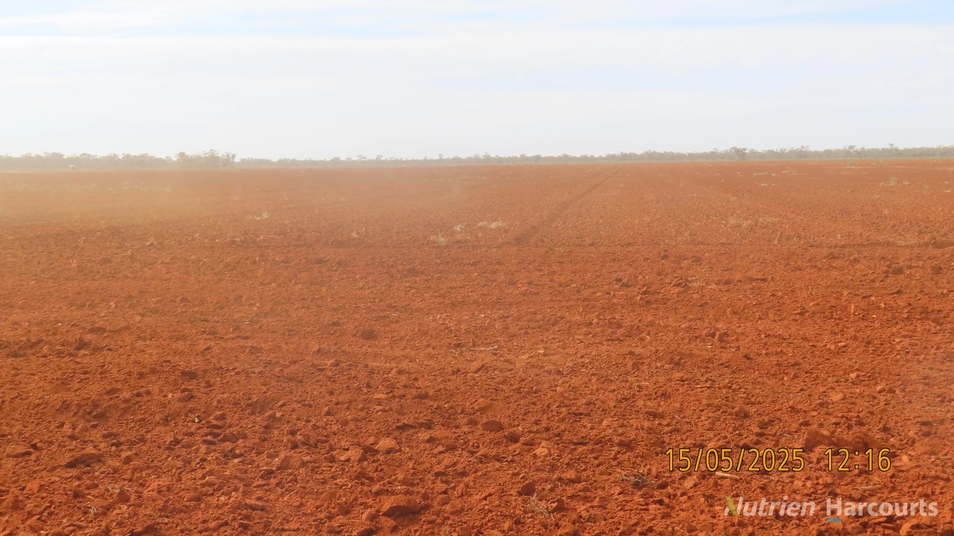 Additional image 13 of * CABLE DOWNS, Cobar NSW 2835