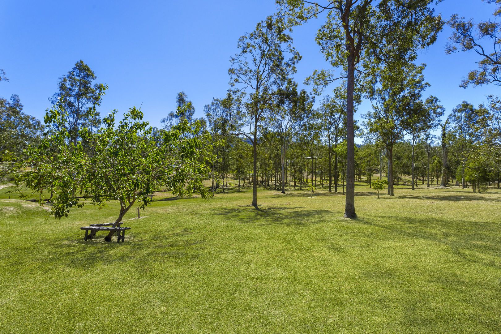 20 Victor Russell Drive, Samford Valley QLD 4520, Image 2