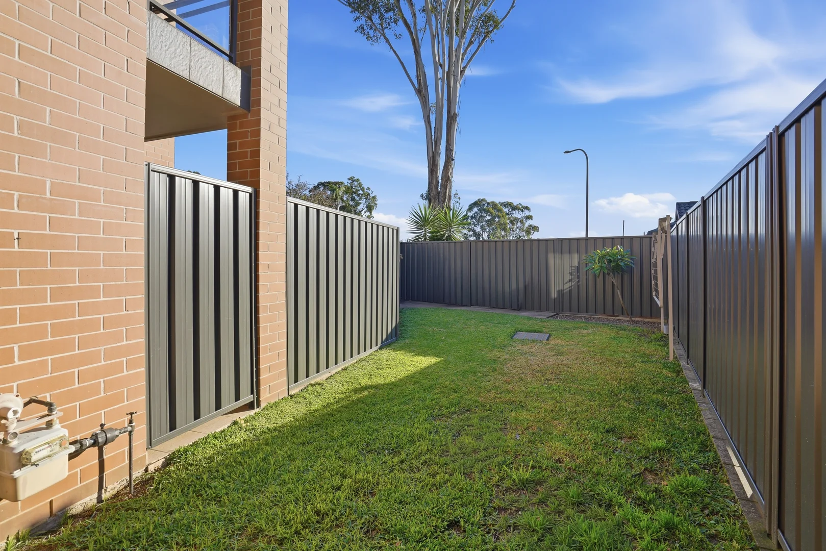 Image 15